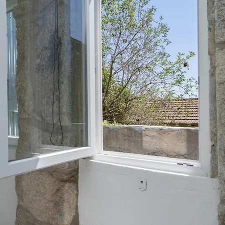Appartement Sao Vitor Building By Homing